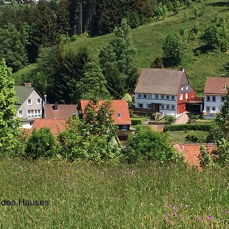 Am Muehlenberg Apartment Altenau  Luaran gambar